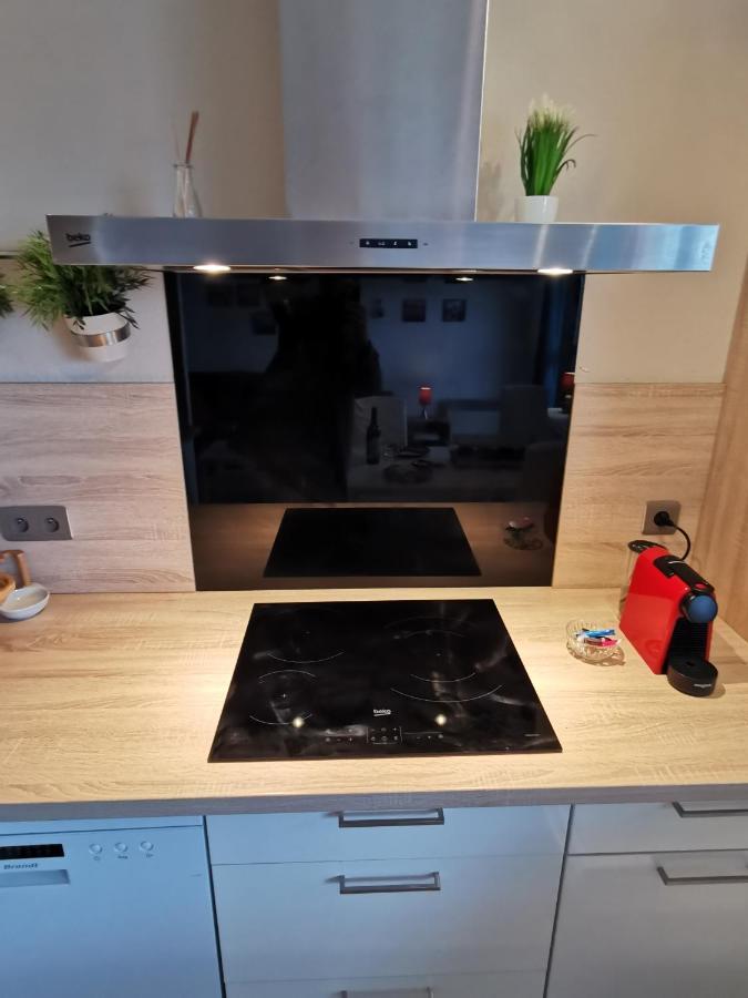 Le Duplex - Hyper Centre - Gare - Wifi - Netflix - Disney + 안시 외부 사진